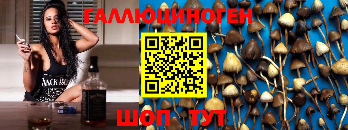Псилоцибиновые грибы GOLDEN TEACHER Новый Уренгой